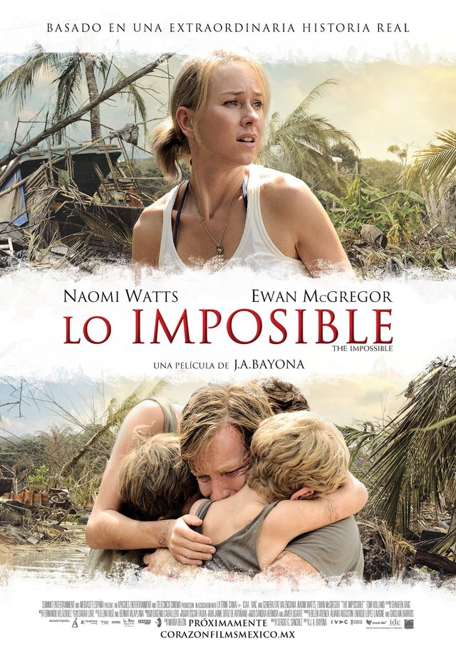 Lo_imposible-563898080-large.jpg