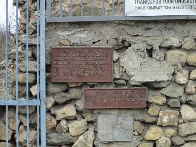 IMG_2077 - Copy.JPG