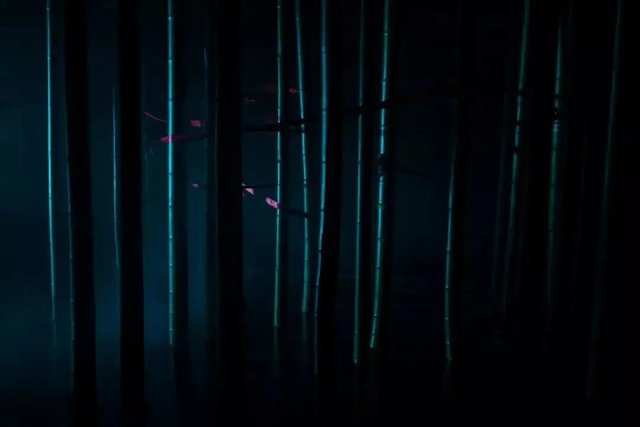 zl (2).jpg