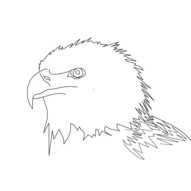 eagle 2.jpg