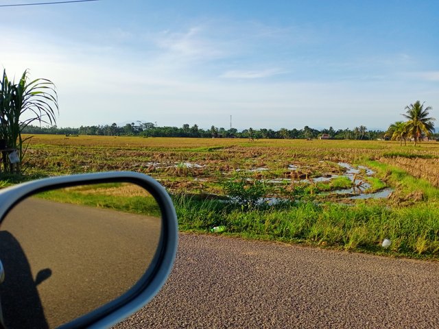 IMG20251006073135.jpg