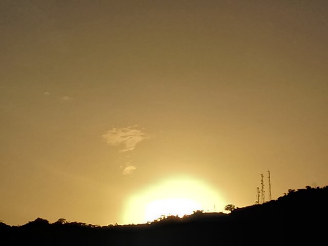 FotoGrid_20250729_182401594.jpg