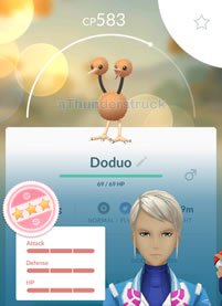 100 IV Doduo.jpg