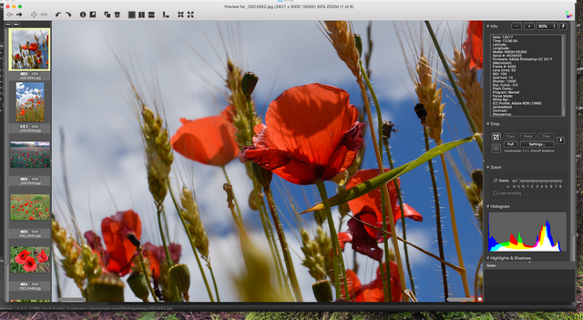 Captura de pantalla 2022-05-29 a las 10.17.15.png