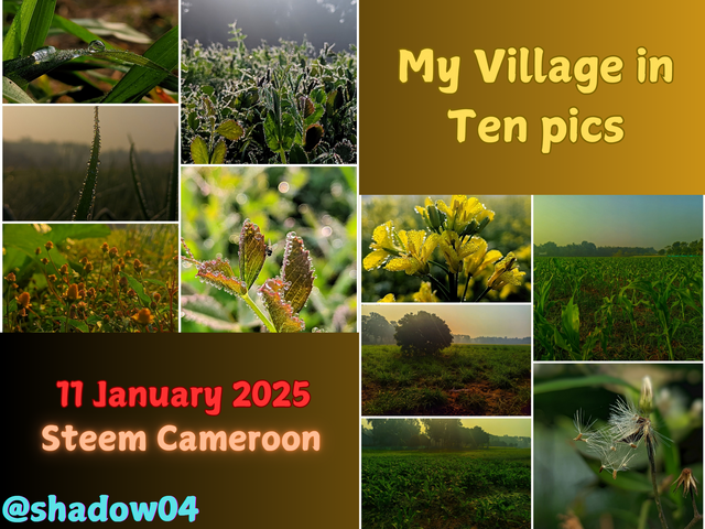 My Village in Ten pics_20250116_114816_0000.png