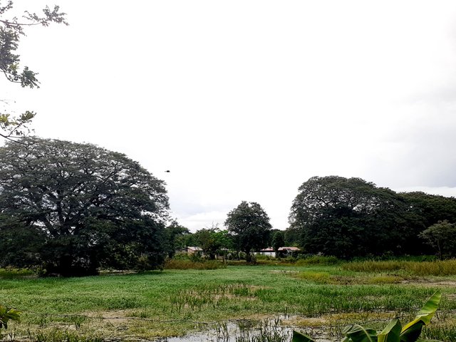 20250727_070836.jpg