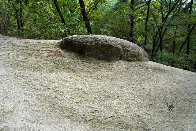 b-DSC03090.JPG