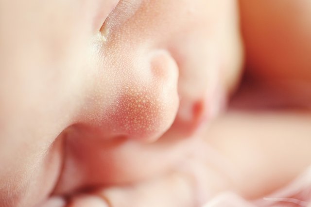 baby-784607_1280.jpg
