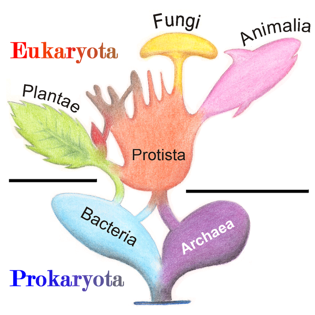 Tree_of_Living_Organisms_2.png
