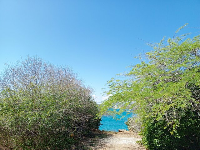 IMG_20241208_113404_161.jpg