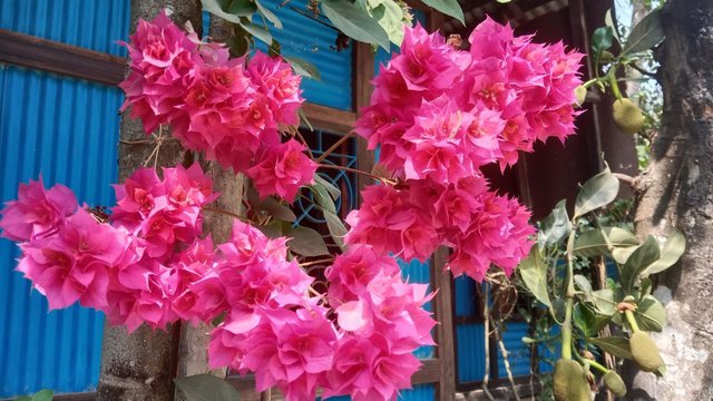 IMG_20250320_090717_195.jpg