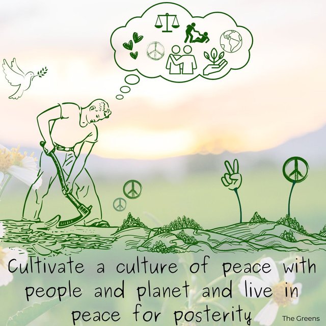 cultivate peace.jpg