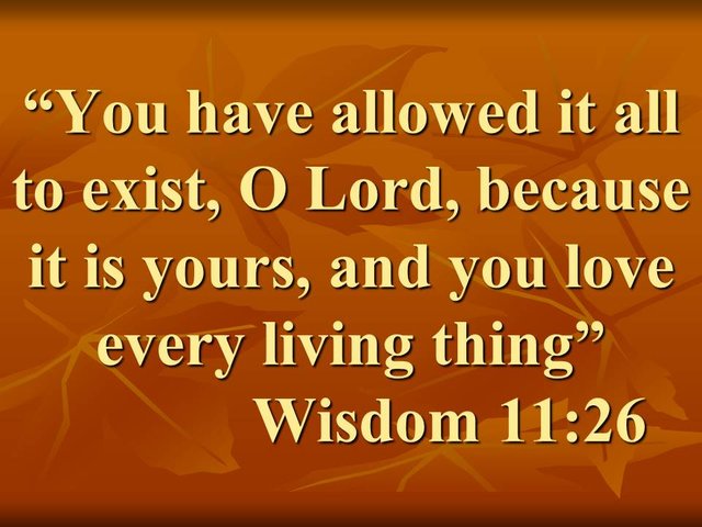 The love of God is perfect. You have allowed it all to exist, O Lord, because it is yours, and you love every living thing. Wisdom 11,26.jpg