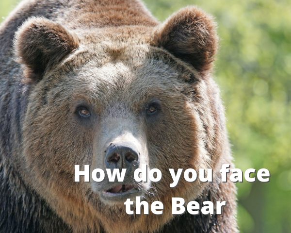 How do you face the Bear.png