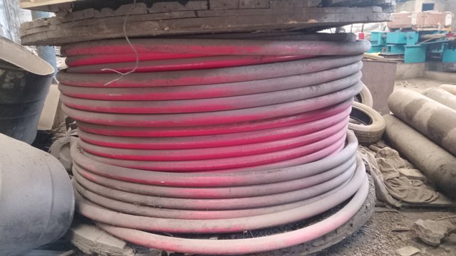20250811_120730.jpg