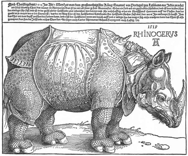 The_Rhinoceros.jpg