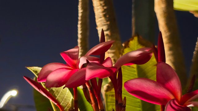 20250405_201002.jpg
