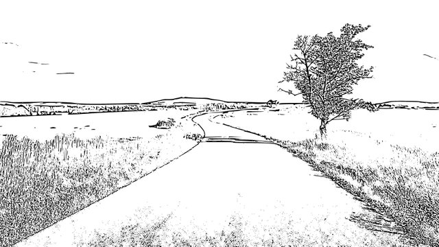 landscape-sketch-final.jpg