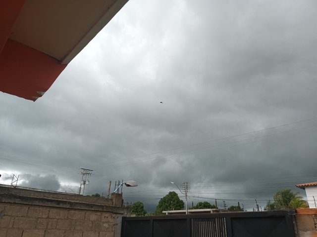 20250620_100831.jpg