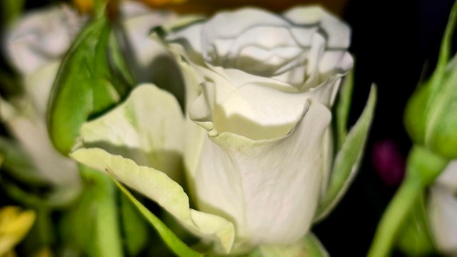 20250518_221133.jpg