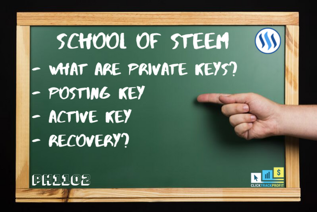 School Of STEEM.png