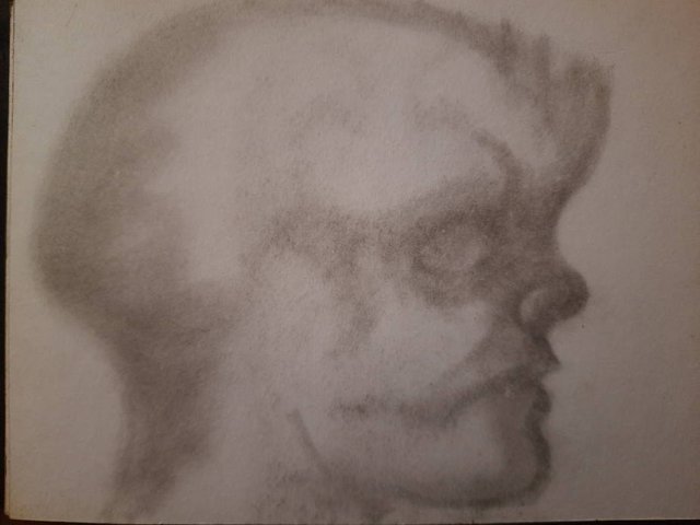 20250507_110503.jpg