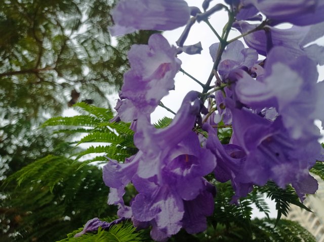 IMG_20250419_155820.jpg