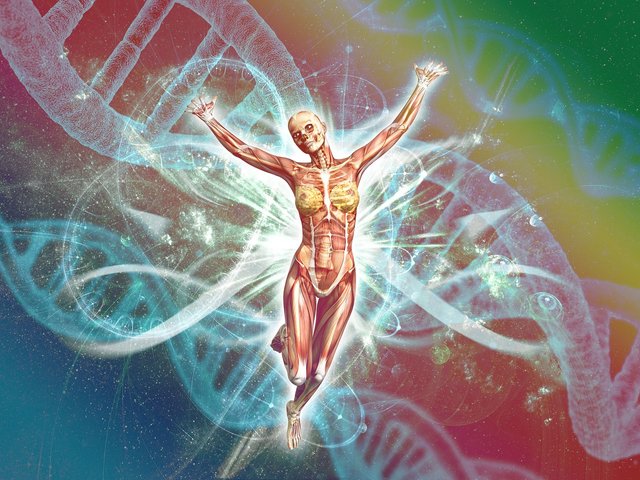 human-3144300_1280.jpg