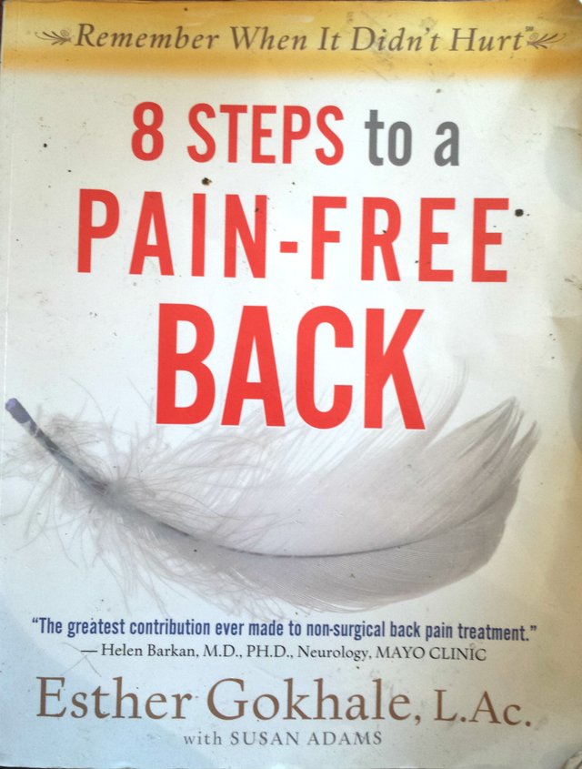 8_steps_to_a_pain_free_back.jpg
