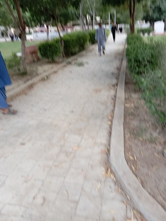 1000064158.jpg