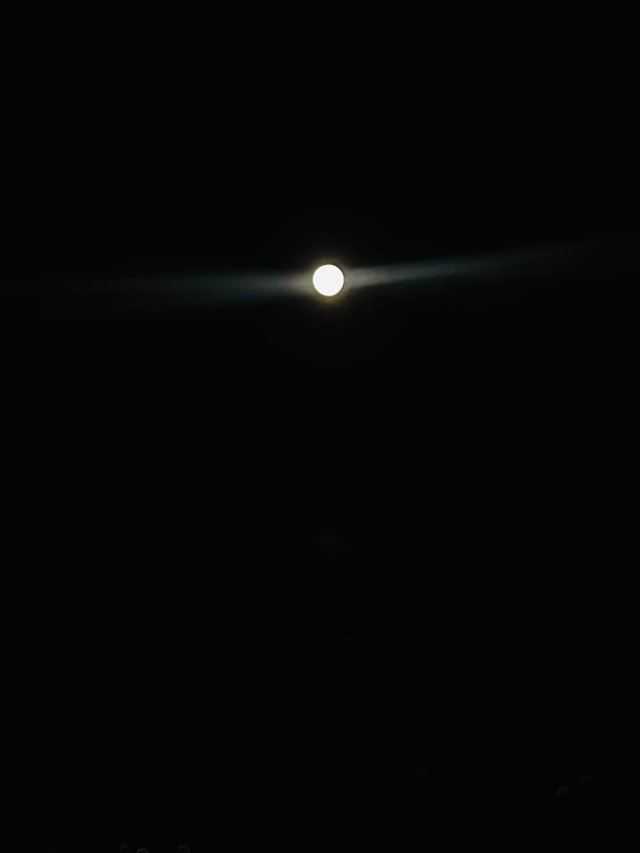 IMG_0561.jpeg