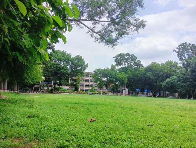 IMG20250626105948.jpg