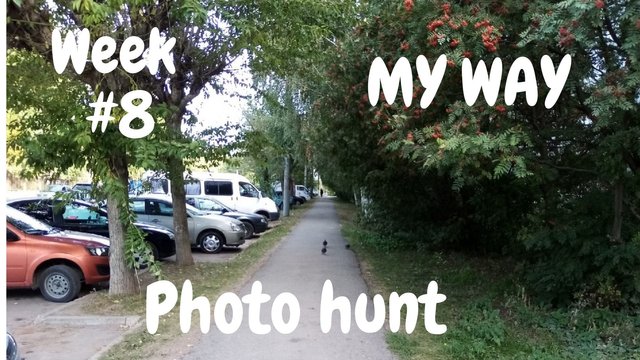 Photo hunt! (11).jpg