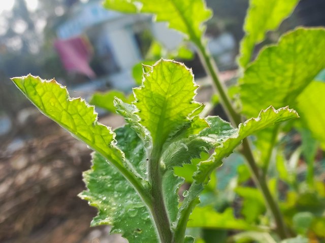 20240119_095053.jpg