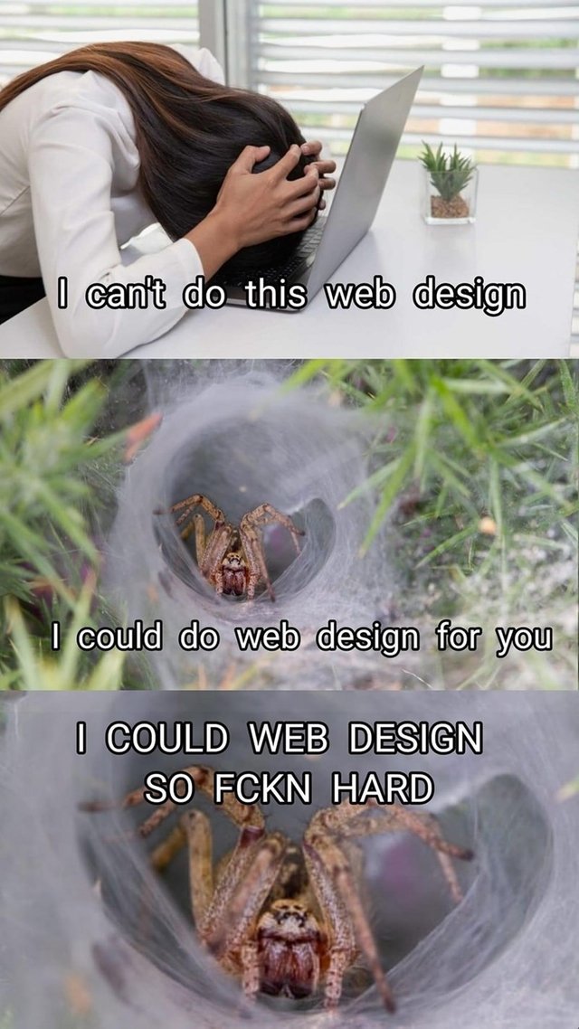 person-cant-do-this-web-design-could-do-web-design-could-web-design-so-fckn-hard.jpg