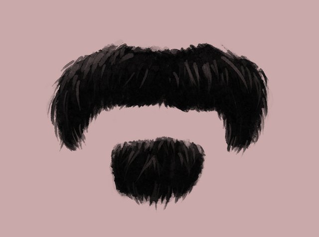 mustache Zappa.jpg
