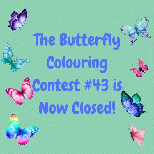 Butterfly colouring 43 closed.jpg