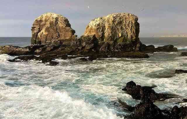 punta de lobos.JPG