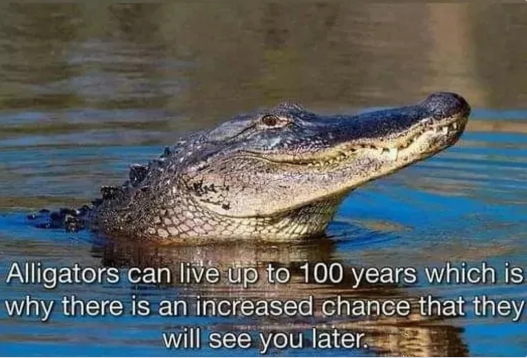 v149.png