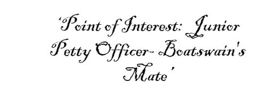 Point-of-interest-junior-petty-officer-Boatswain's-Mate.jpg