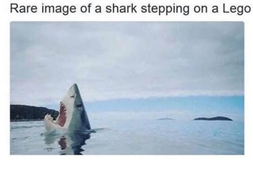 shark stepping on lego.jpg