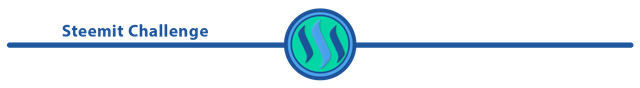 SC-divider.png