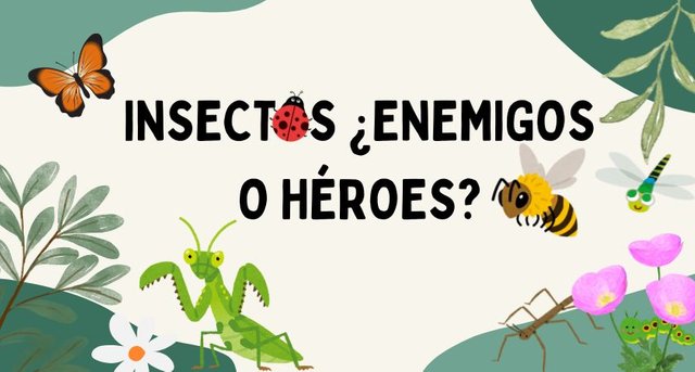 ¿Insecto molesto o.jpg