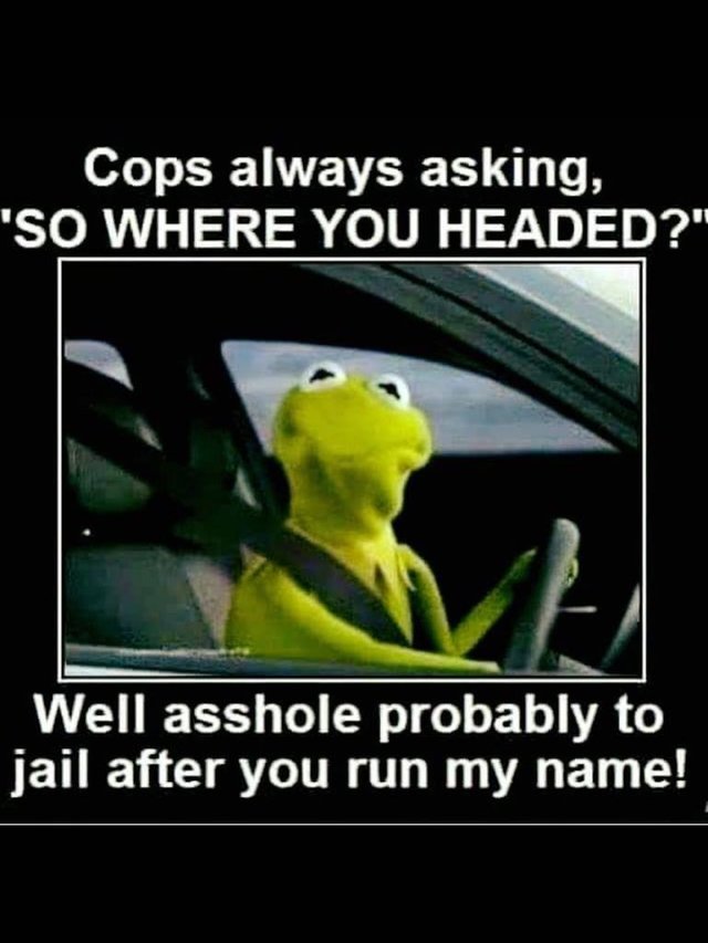 cops kermit.jpg