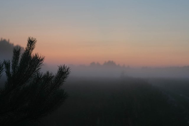 DSC00749.jpg