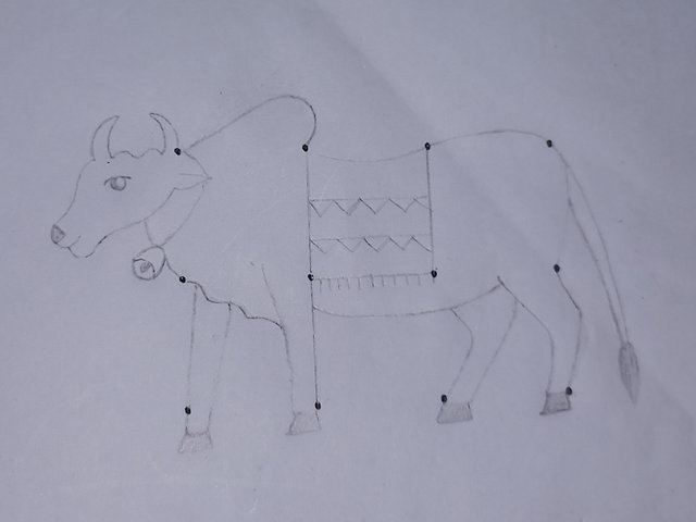 20250606_111628.jpg