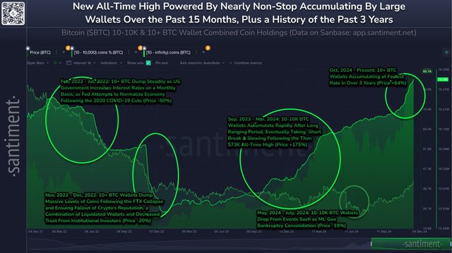 BTC-Whales-scaled.jpeg