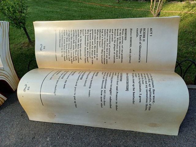 20250625_183406.jpg