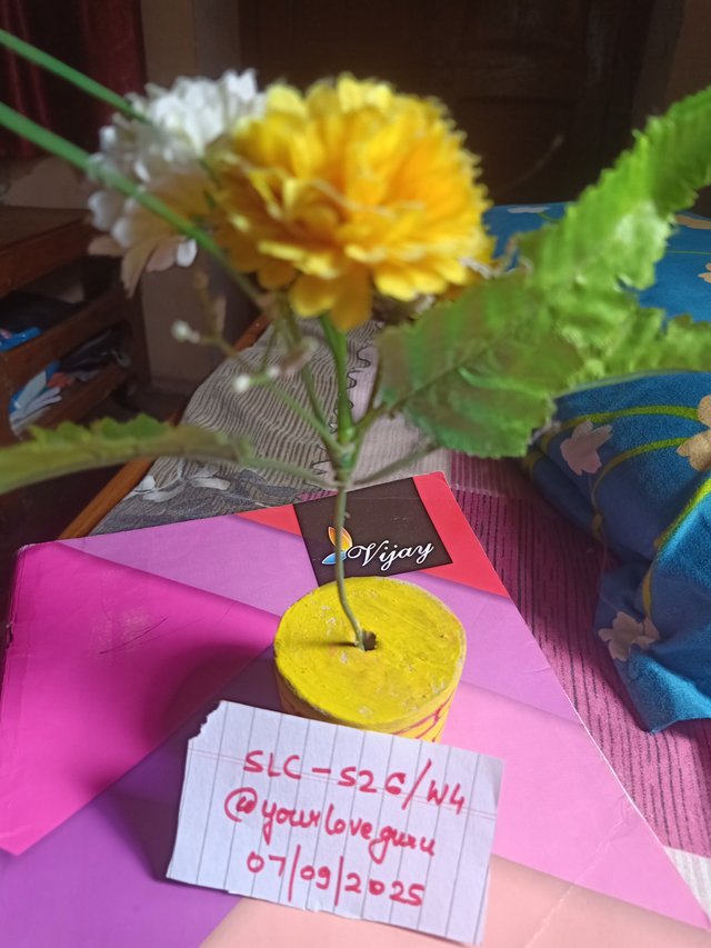 IMG20250907095120.jpg