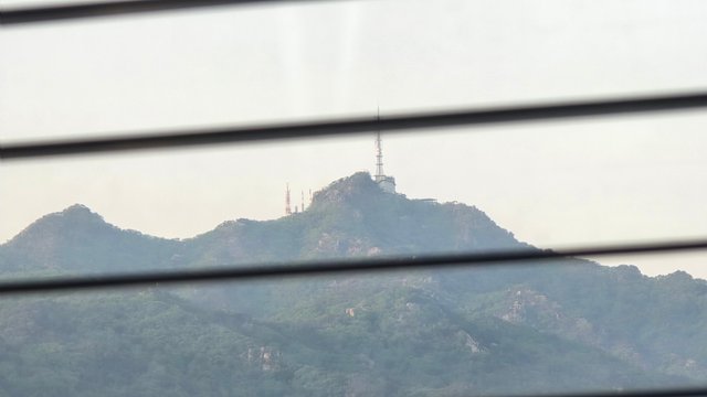 1000122010.jpg